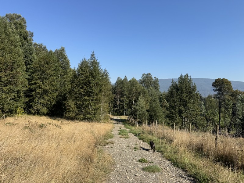 Parcela en venta en Villarrica — foto 6