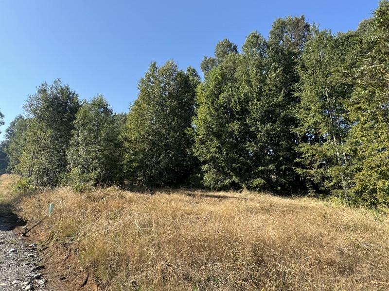 Parcela en venta en Villarrica — foto 10