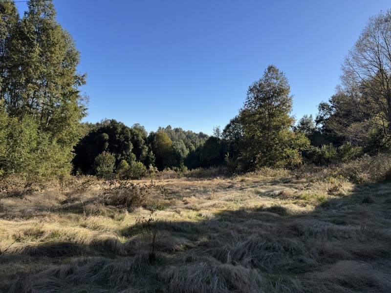 Parcela en venta en Villarrica — foto 1