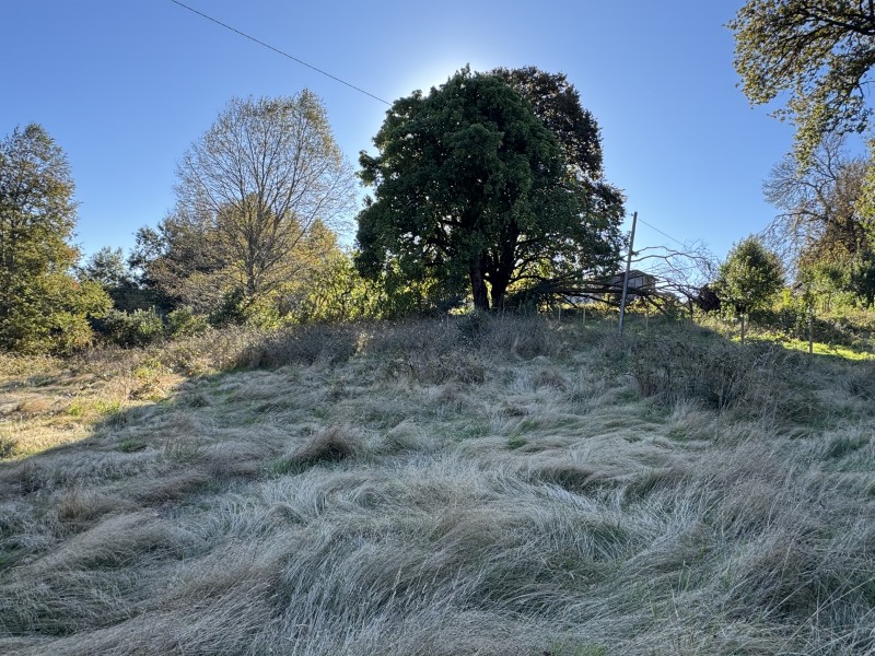 Parcela en venta en Villarrica — foto 2
