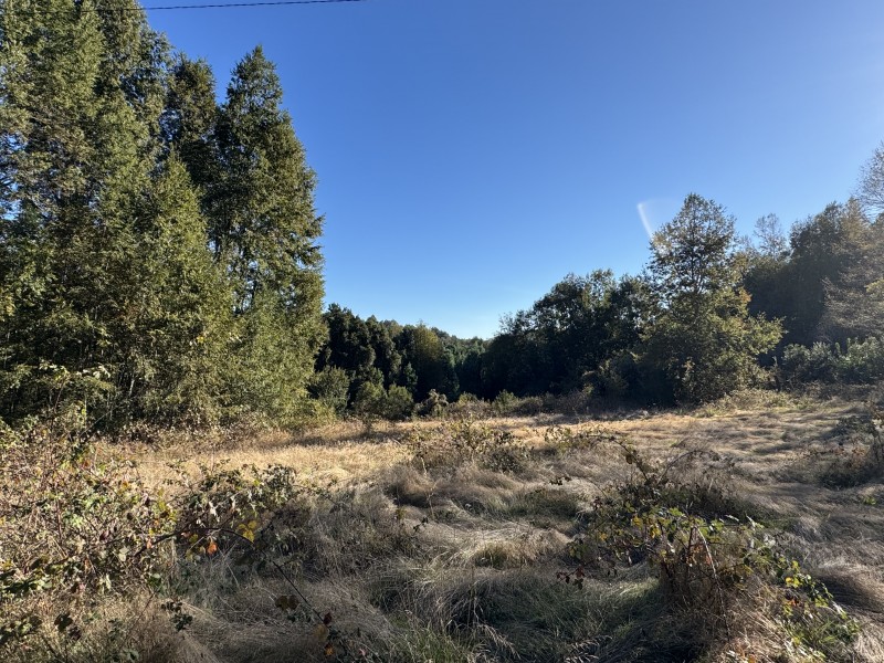 Parcela en venta en Villarrica — foto 4