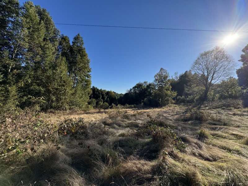 Parcela en venta en Villarrica — foto 5