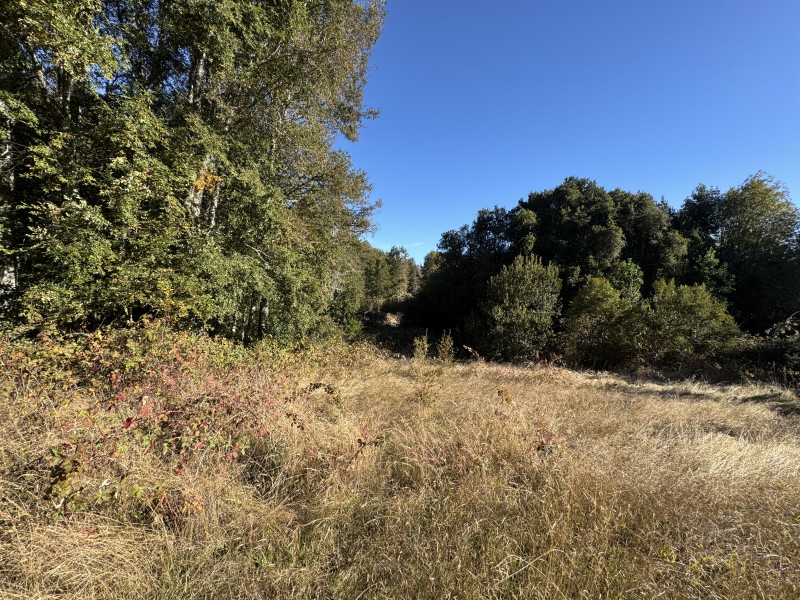 Parcela en venta en Villarrica — foto 7