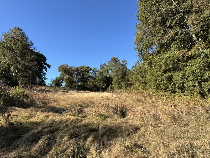 Parcela en venta en Villarrica — foto 8