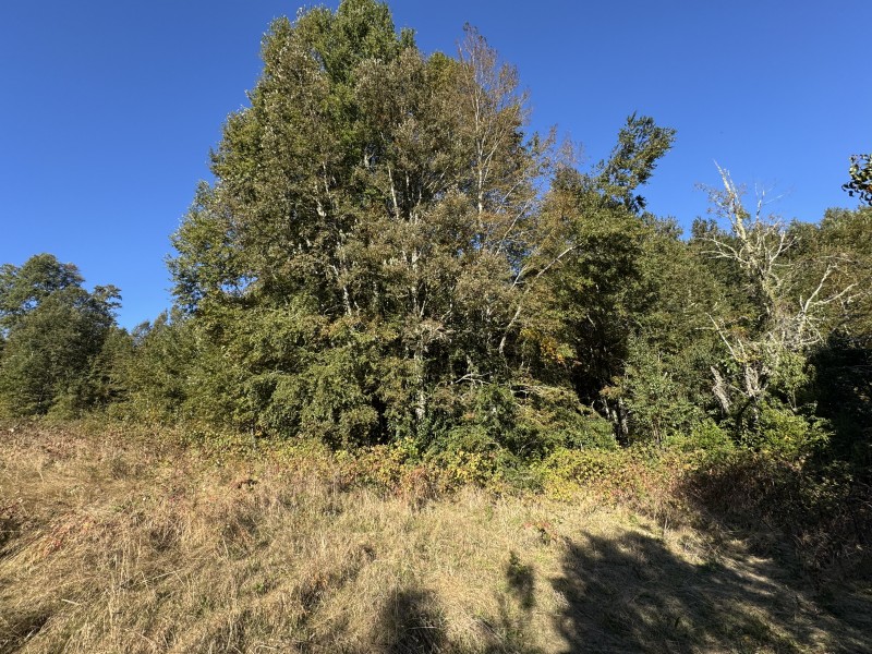 Parcela en venta en Villarrica — foto 9