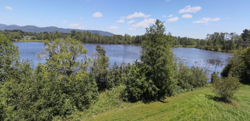 Parcela en venta en Villarrica — foto 2