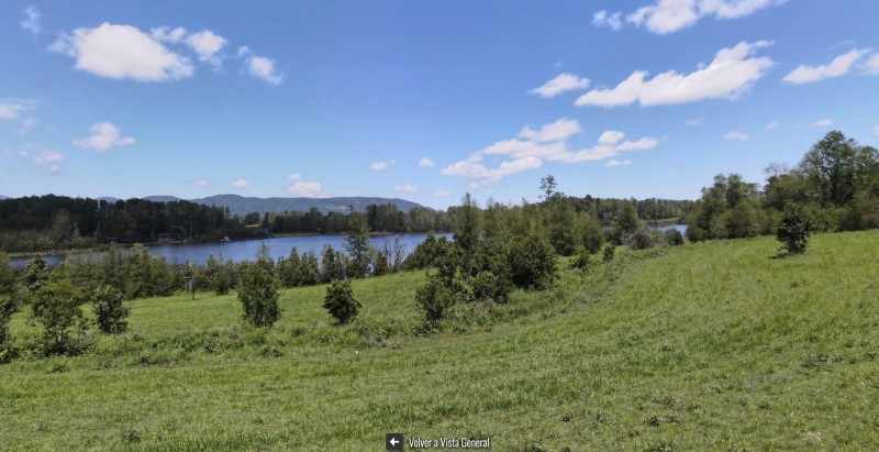 Parcela en venta en Villarrica — foto 4