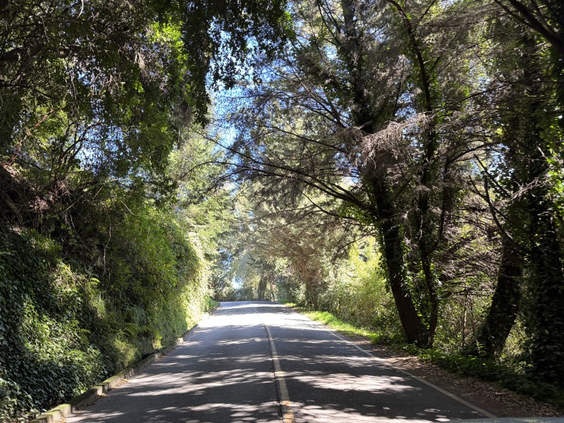 Parcela en venta en Villarrica — foto 9