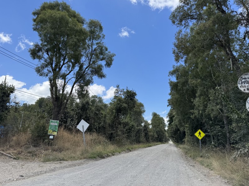 Parcela en venta en Villarrica — foto 4