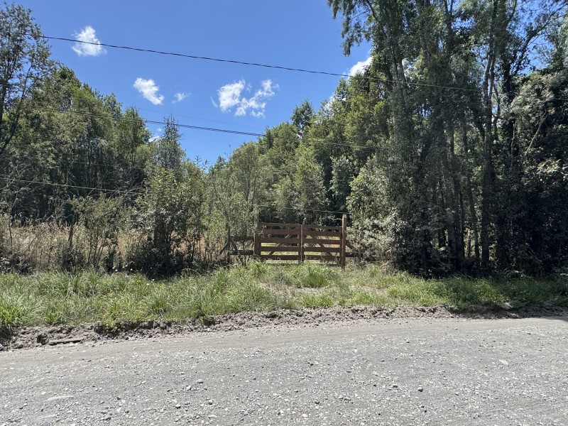 Parcela en venta en Villarrica — foto 5