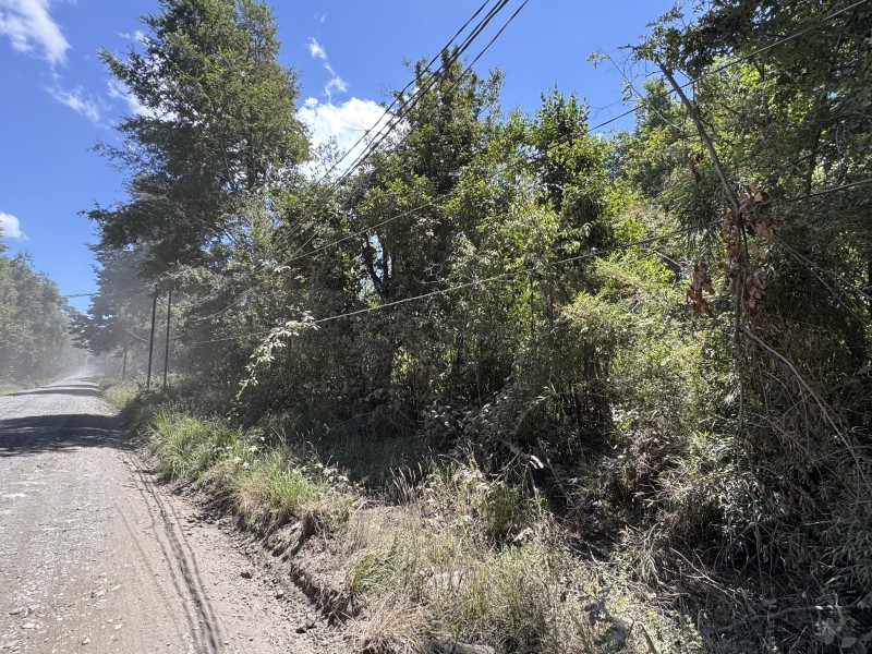 Parcela en venta en Villarrica — foto 8