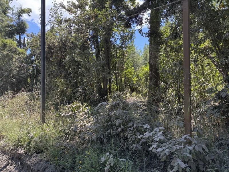 Parcela en venta en Villarrica — foto 9