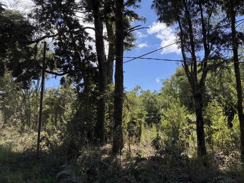 Parcela en venta en Villarrica — foto 10