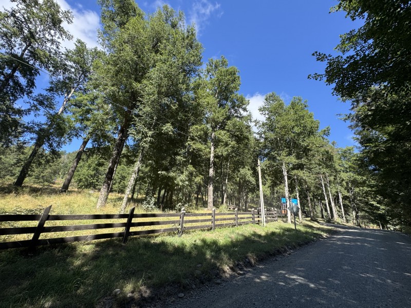 Parcela en venta en Villarrica — foto 3