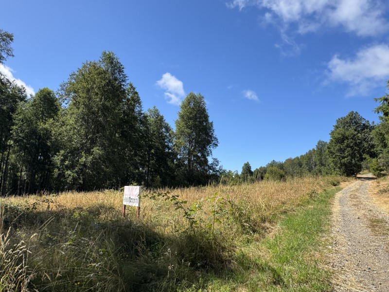 Parcela en venta en Villarrica — foto 5