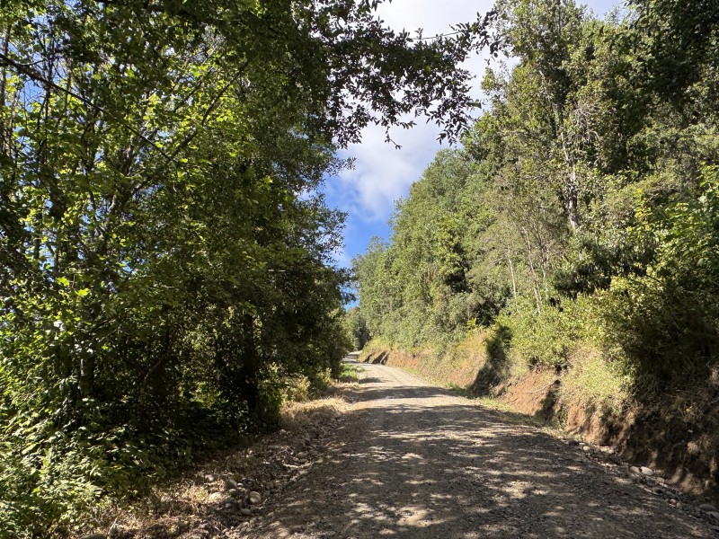 Parcela en venta en Villarrica — foto 7