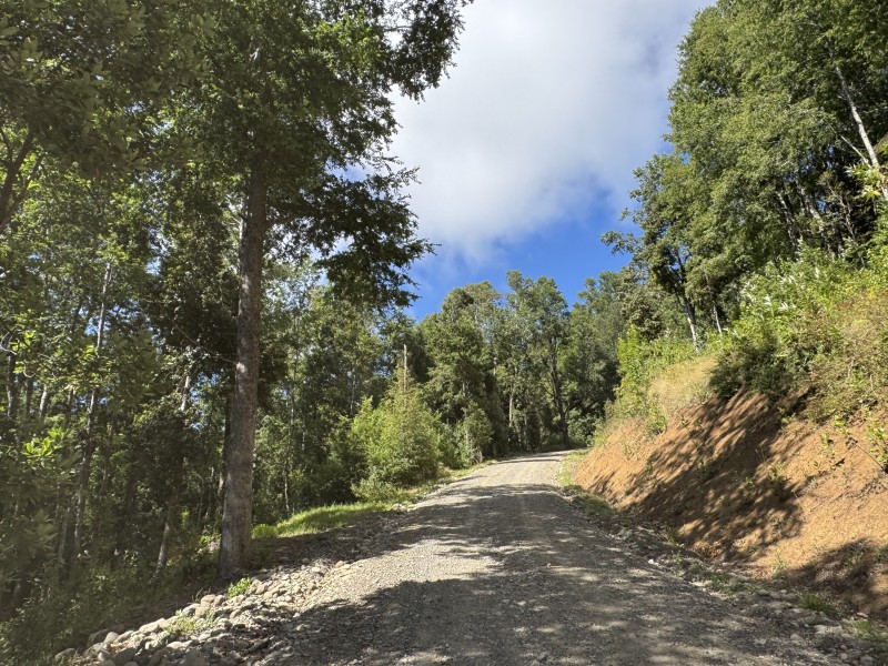 Parcela en venta en Villarrica — foto 8