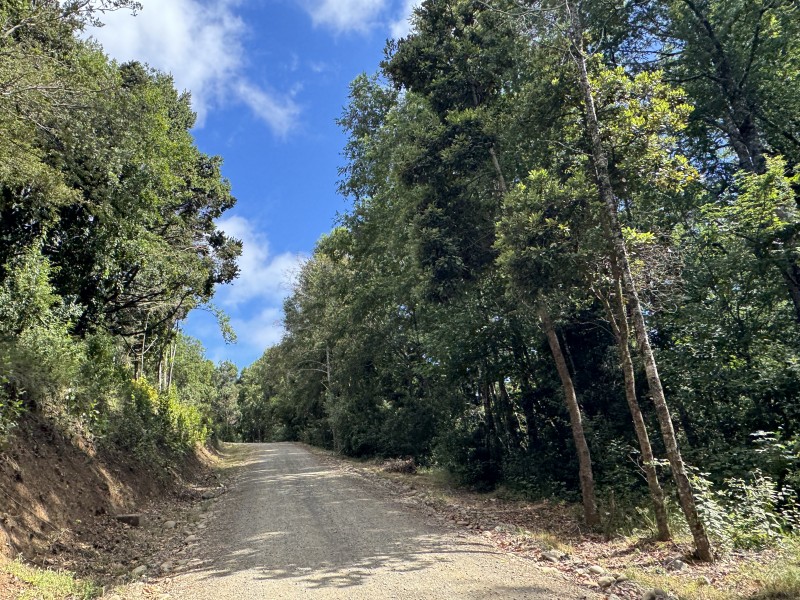 Parcela en venta en Villarrica — foto 9