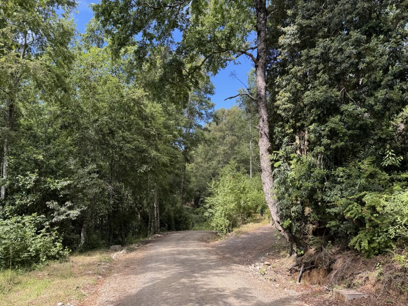 Parcela en venta en Villarrica — foto 10