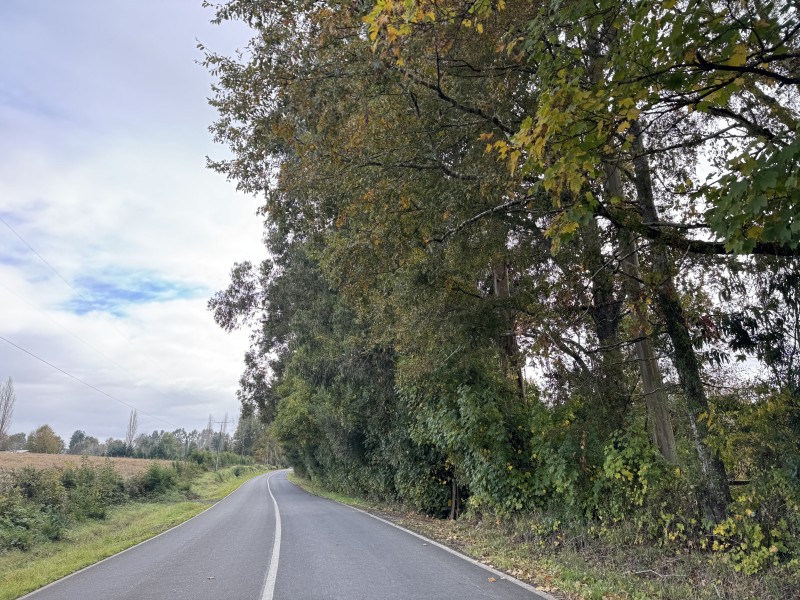 Parcela en venta en Villarrica — foto 2