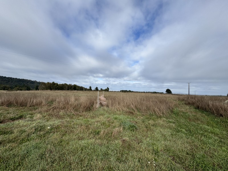 Parcela en venta en Villarrica — foto 5