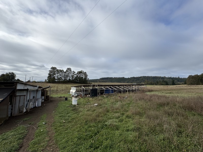 Parcela en venta en Villarrica — foto 8