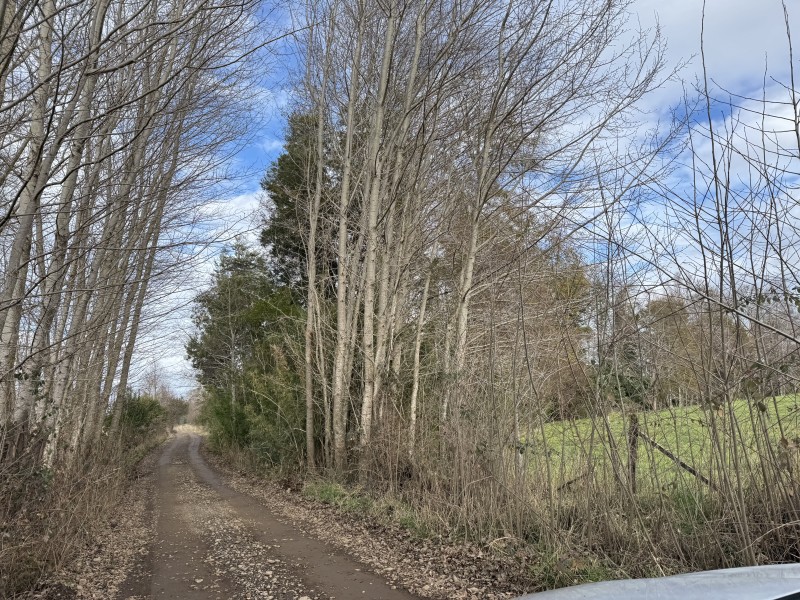 Casa en venta en Villarrica — foto 4