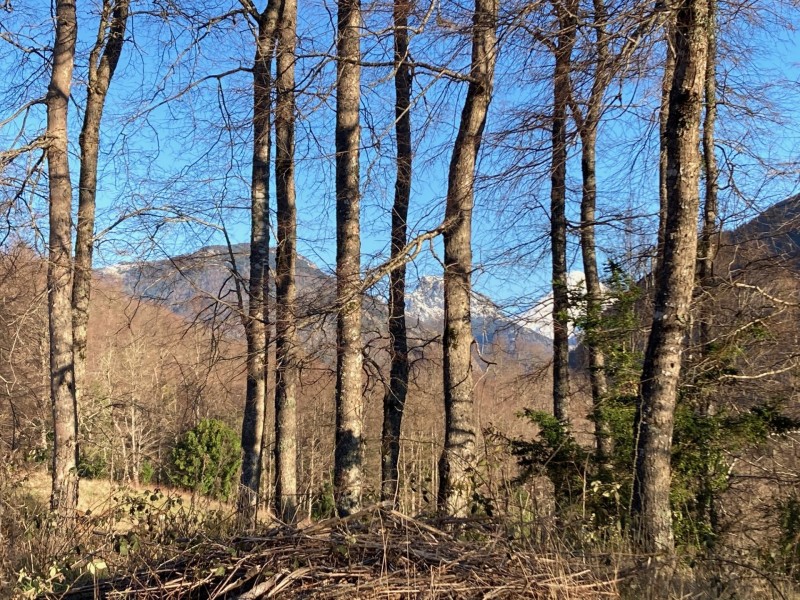 Parcela en venta en Curarrehue — foto 4