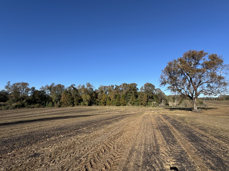 Campo en venta en Temuco — foto 1