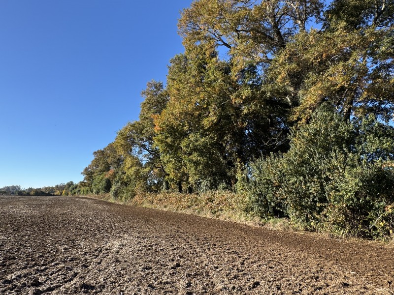 Campo en venta en Temuco — foto 2
