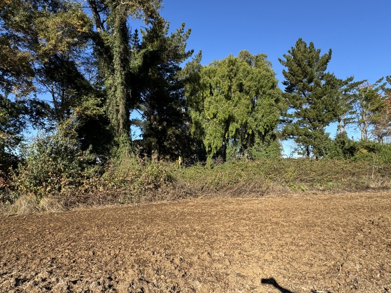 Campo en venta en Temuco — foto 3