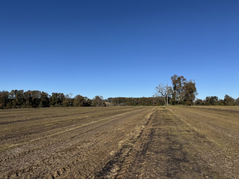 Campo en venta en Temuco — foto 5