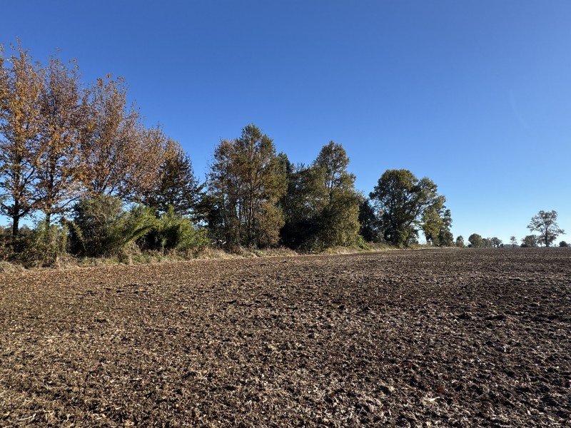 Campo en venta en Temuco — foto 6