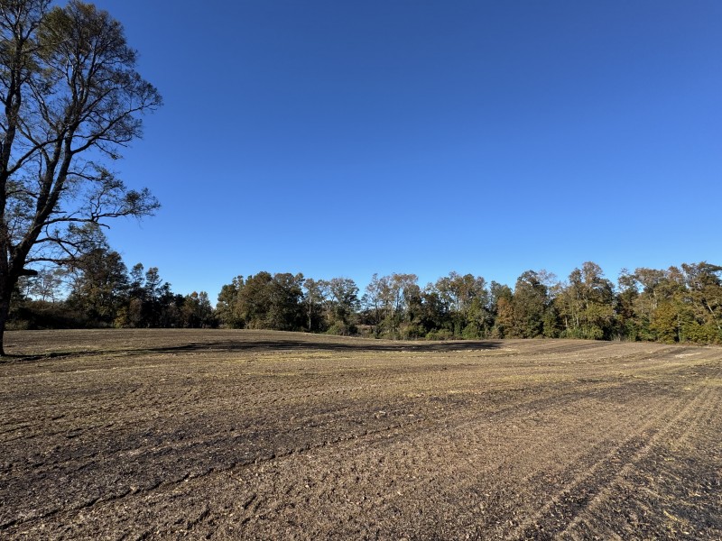 Campo en venta en Temuco — foto 7