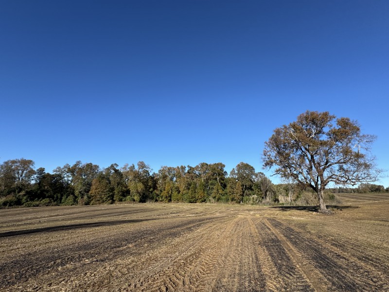 Campo en venta en Temuco — foto 8
