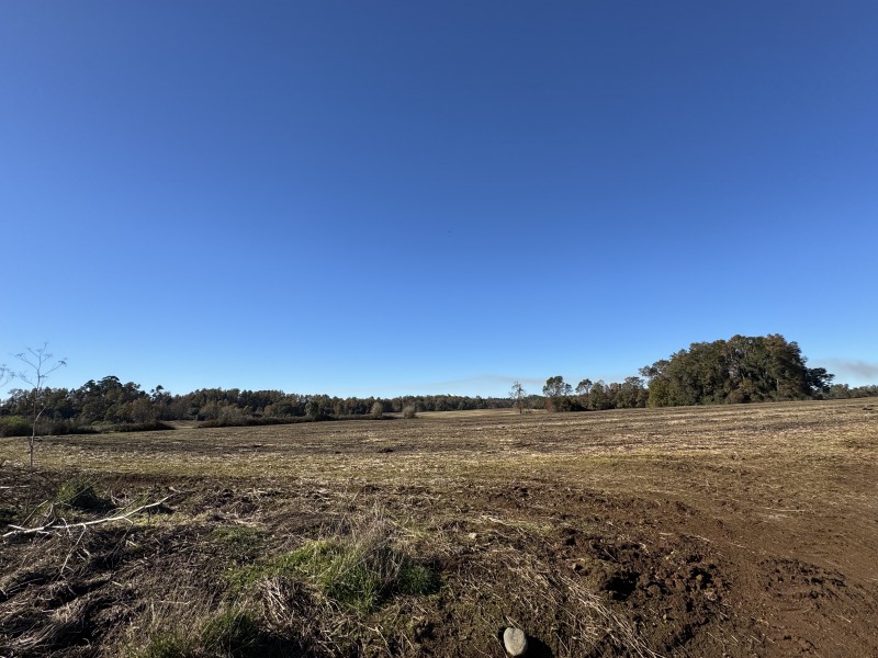 Campo en venta en Temuco — foto 4