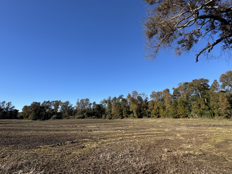 Campo en venta en Temuco — foto 9