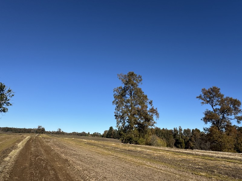 Campo en venta en Temuco — foto 10