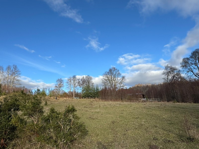 Parcela en venta en Villarrica — foto 2