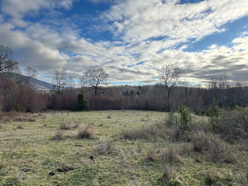 Parcela en venta en Villarrica — foto 3