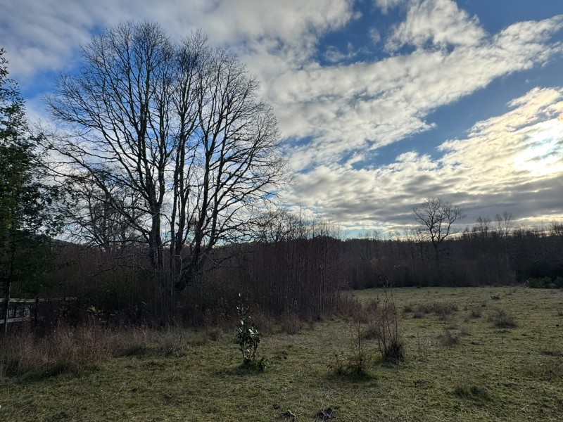 Parcela en venta en Villarrica — foto 4