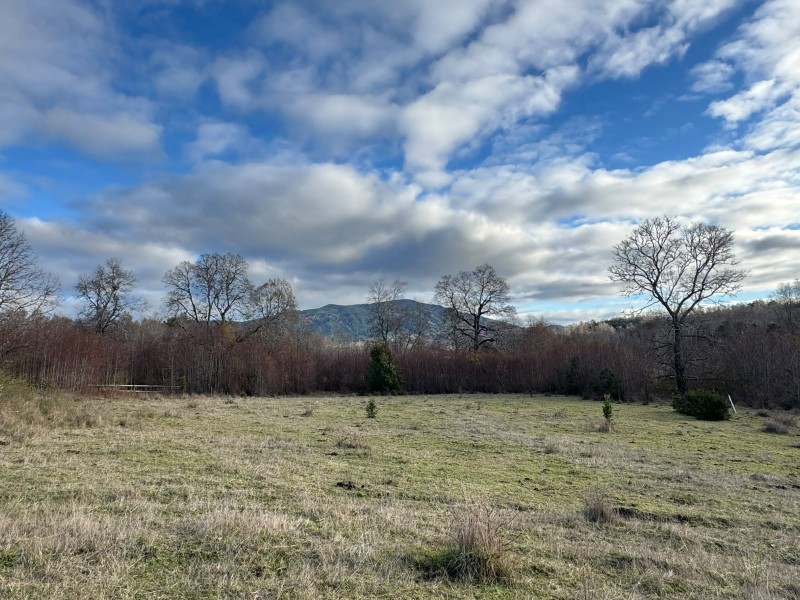 Parcela en venta en Villarrica — foto 7