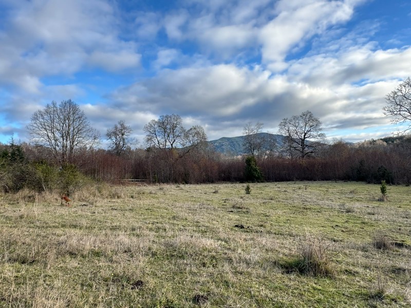 Parcela en venta en Villarrica — foto 9