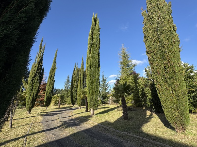 Casa en venta en Pucón — foto 10