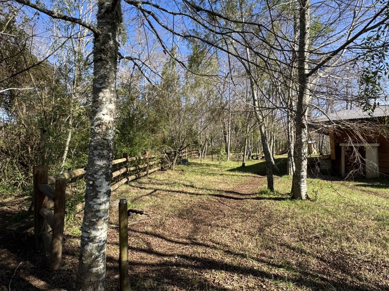 Casa en venta en Freire — foto 4