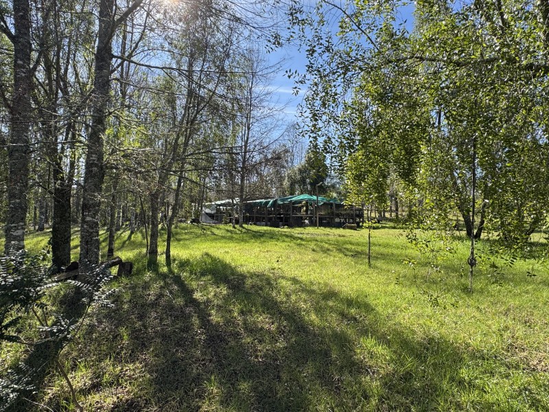 Casa en venta en Freire — foto 6