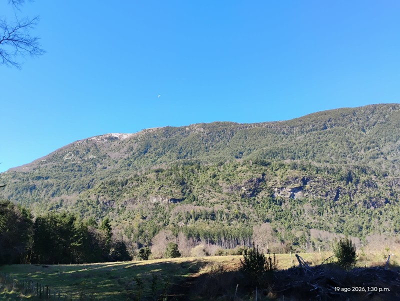 Campo en venta en Cunco — foto 6