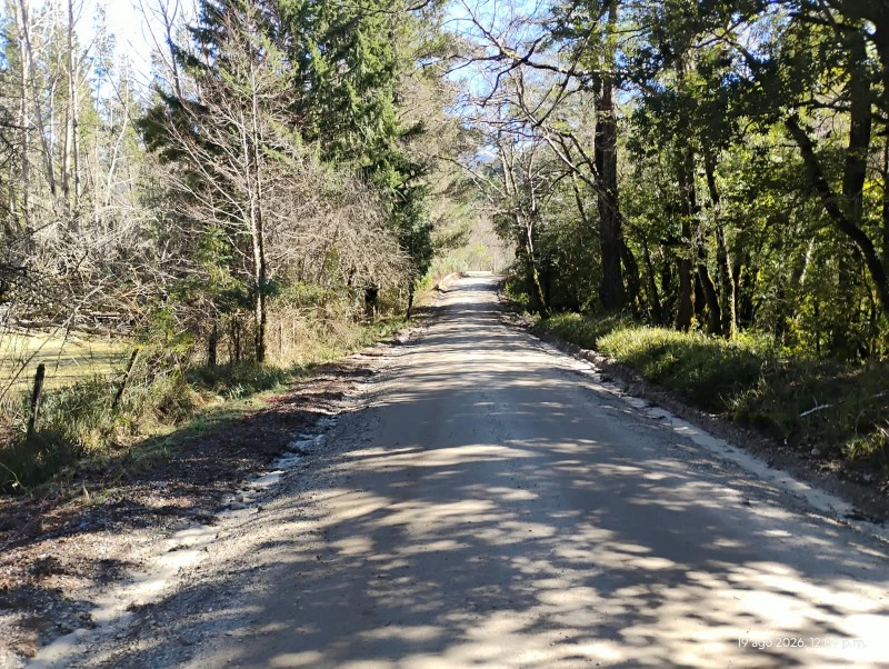 Campo en venta en Cunco — foto 8
