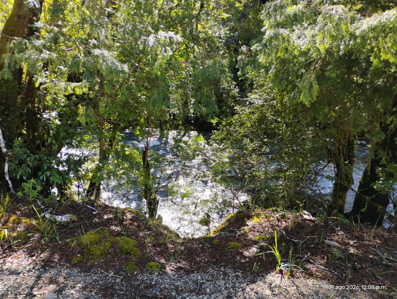 Campo en venta en Cunco — foto 9