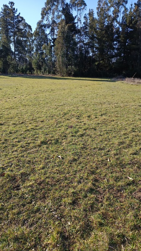 Parcela en venta en Pitrufquén — foto 1